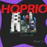 Hoprio variable speed electric motor controller quality-assured
