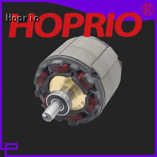 Hoprio energy-saving bldc motor for electric vehicles