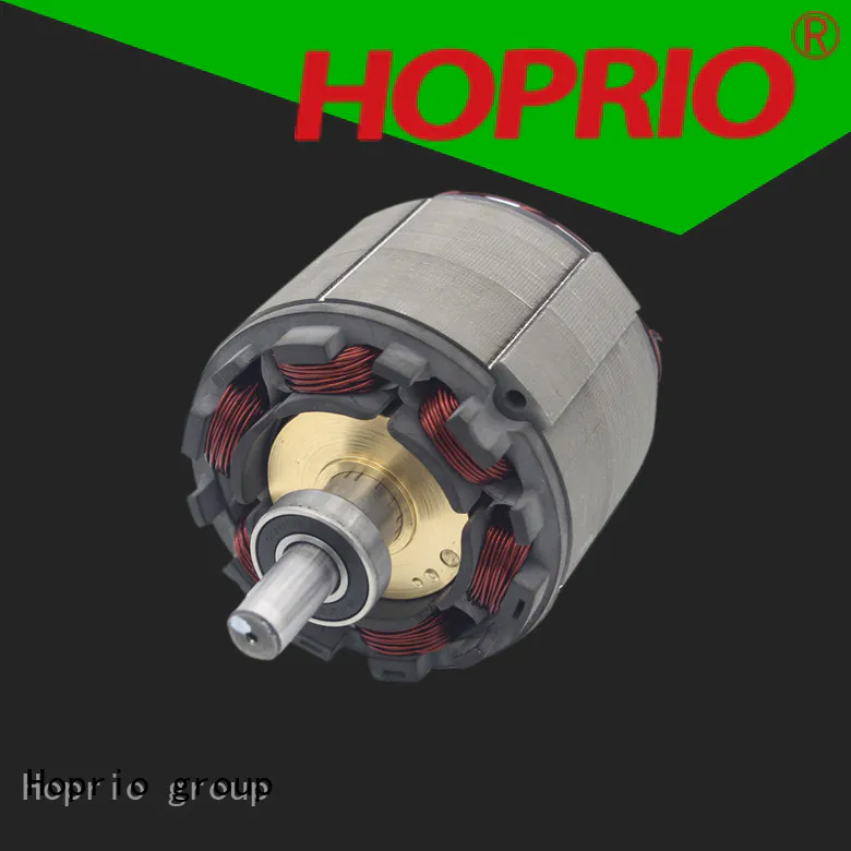 Hoprio high power brushless dc electric motor customized for electric vehicles