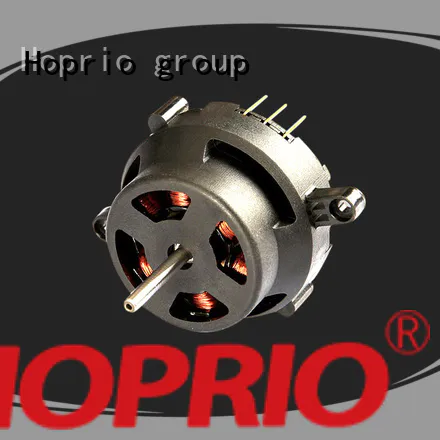 Hoprio brushless dc electric motor for electric vehicles