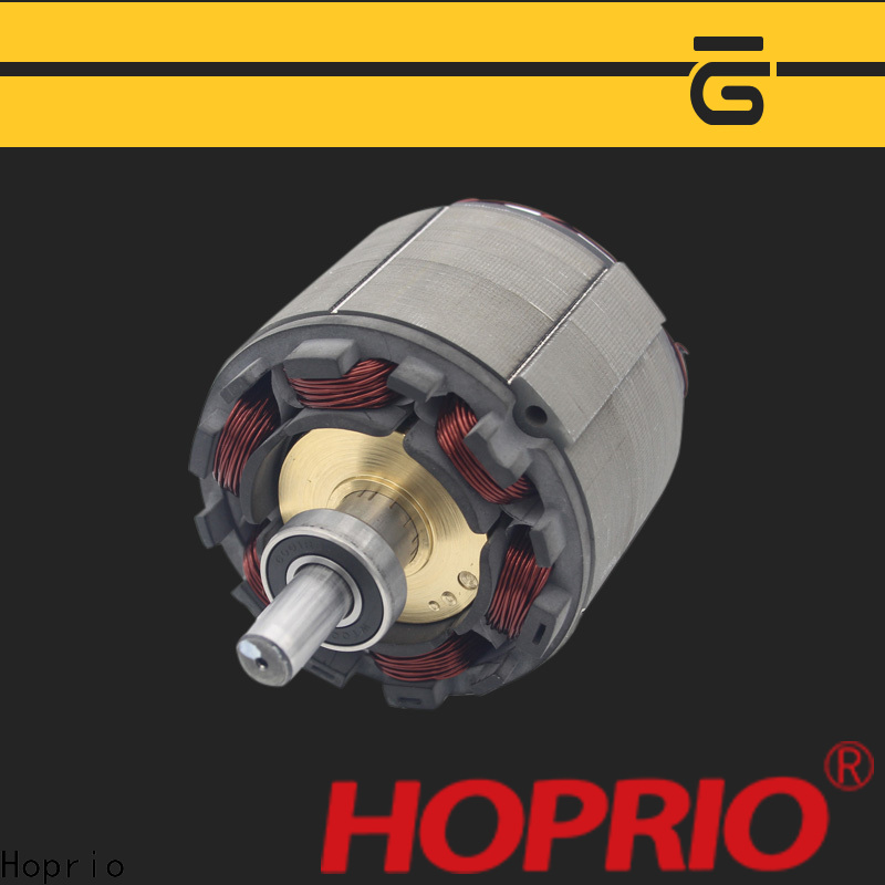 high speed bldc motor controller customized for electric vehicles Hoprio