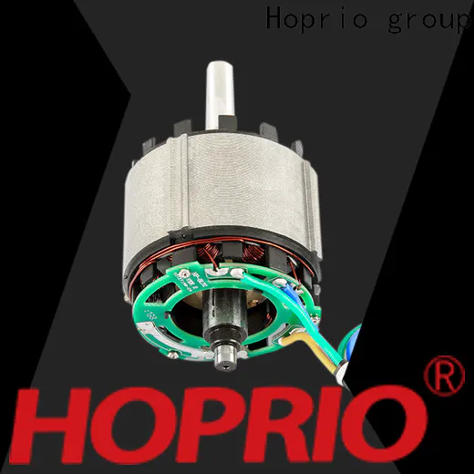 Hoprio high speed high speed brushless dc motor wholesale for electric vehicles