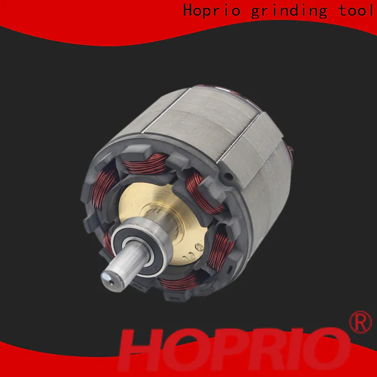 Hoprio high power bldc motor driver customized for electric vehicles
