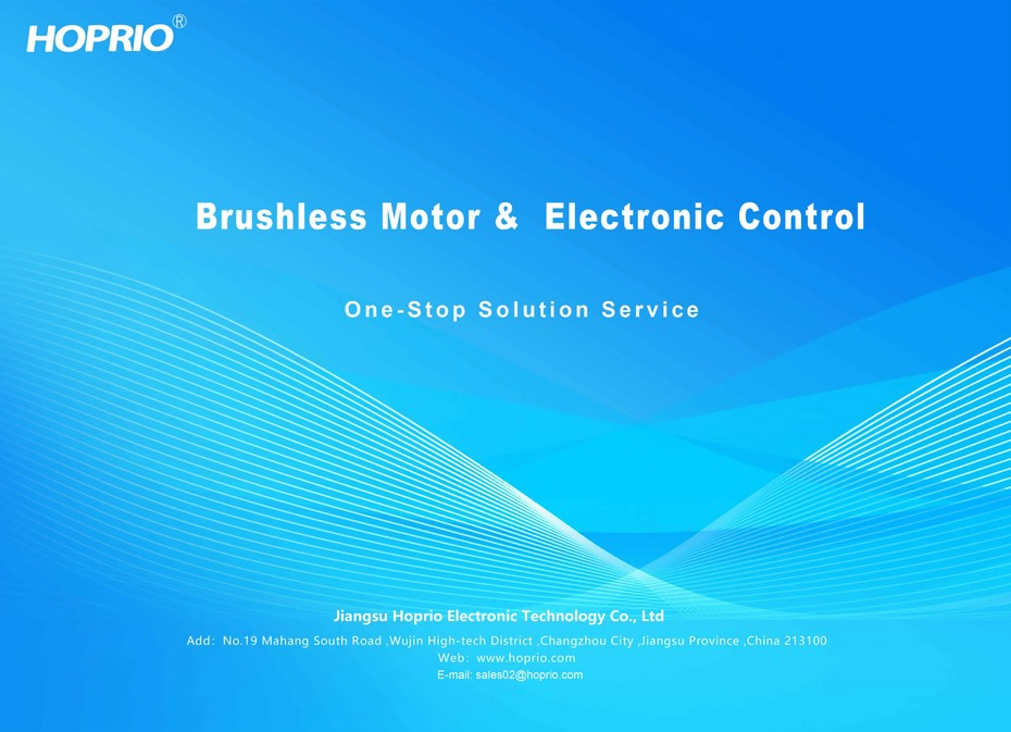 Brushless Motor Solution Service