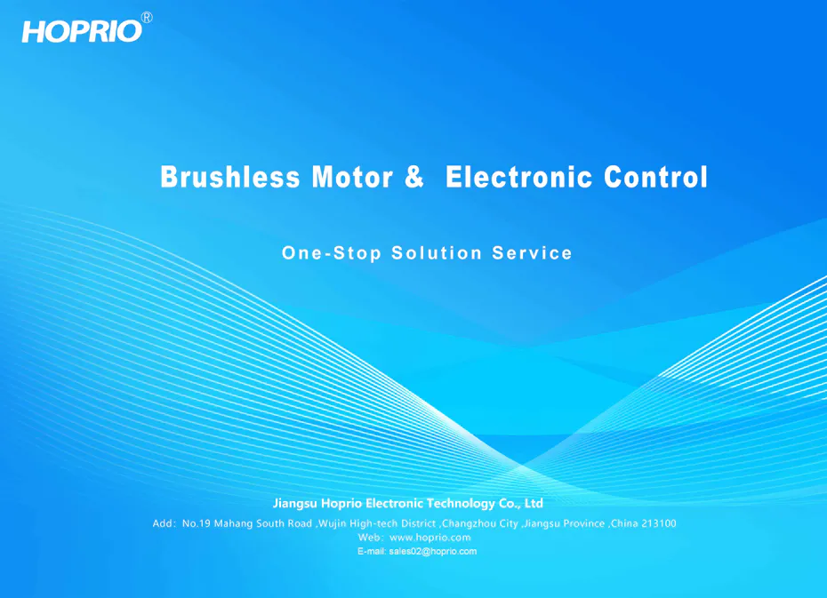 Brushless Motor Solution Service